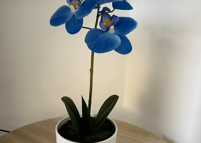 Дом отдыха A L'ombre Du Marronnier *