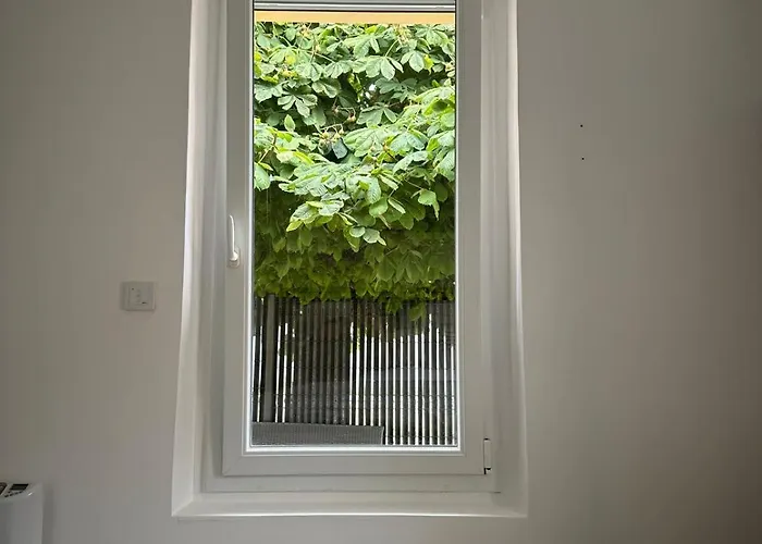 A L'ombre Du Marronnier